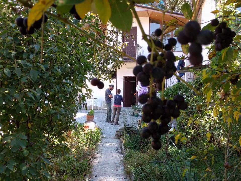 Nina B&B Dilisan Kültér fotó